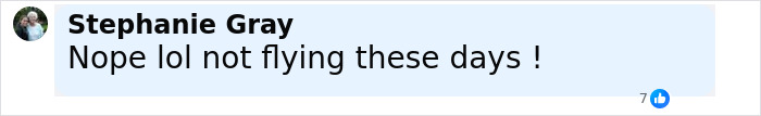 Comment by Stephanie Gray expressing reluctance to fly, related to chilling plane crash simulation safety insights. Comment by Stephanie Gray expressing reluctance to fly, related to chilling plane crash simulation safety insights.