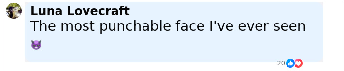 Facebook comment by Luna Lovecraft saying the most punchable face I've ever seen with a devil emoji, about a case involving mom secretly tormenting daughter.