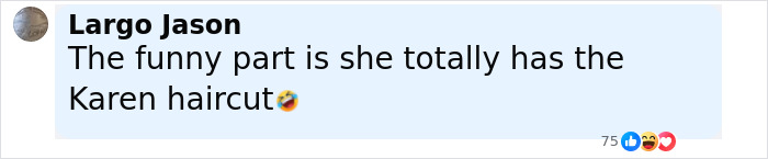 Comment by Largo Jason mentioning the Karen haircut in a discussion about a vulgar confrontation over an MLB ball.