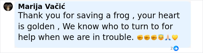 Comment praising a woman for rescuing a frog, highlighting her kindness and golden heart in a supportive online message. Comment praising a woman for rescuing a frog, highlighting her kindness and golden heart in a supportive online message.