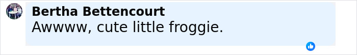 Comment praising a woman who rescued a frog from her fridge, highlighting viral kindness on the internet. Comment praising a woman who rescued a frog from her fridge, highlighting viral kindness on the internet.