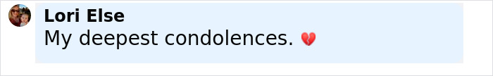 Comment expressing condolences with a heartbroken emoji reacting to tragic accident involving Disney influencer&rsquo;s children.
