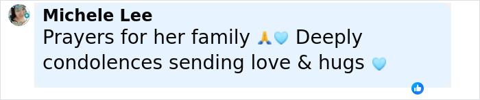 Facebook comment from Michele Lee offering prayers and condolences for Disney influencer's family after tragic accident.