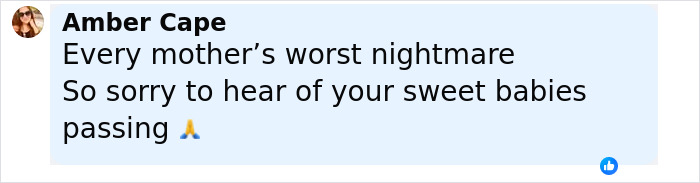 Comment expressing sympathy for tragic accident affecting Disney influencer's children and husband in ICU.