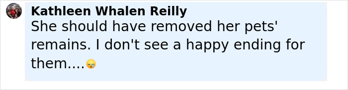 Comment from Kathleen Whalen Reilly expressing concern about pets' remains amid Richard Gere&rsquo;s multimillion-dollar home demolition controversy.