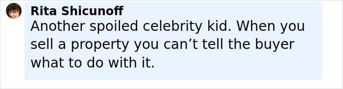 Comment by Rita Shicunoff criticizing a spoiled celebrity kid amid Richard Gere&rsquo;s multimillion-dollar home demolition controversy.