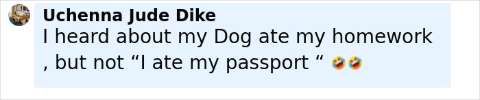 Comment by Uchenna Jude Dike joking about a dog eating homework and a passenger eating a passport during a flight. Comment by Uchenna Jude Dike joking about a dog eating homework and a passenger eating a passport during a flight.