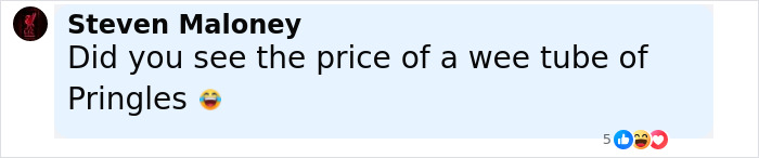 Screenshot of a social media comment about the chaos caused when passengers eat and flush their own passports during a flight. Screenshot of a social media comment about the chaos caused when passengers eat and flush their own passports during a flight.