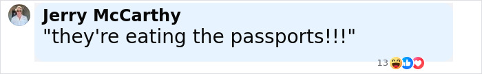 Comment from Jerry McCarthy expressing shock about passengers eating passports during flight chaos. Comment from Jerry McCarthy expressing shock about passengers eating passports during flight chaos.