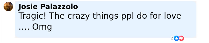 Comment from Josie Palazzolo expressing shock about the American nightmare mom who married man she met online.