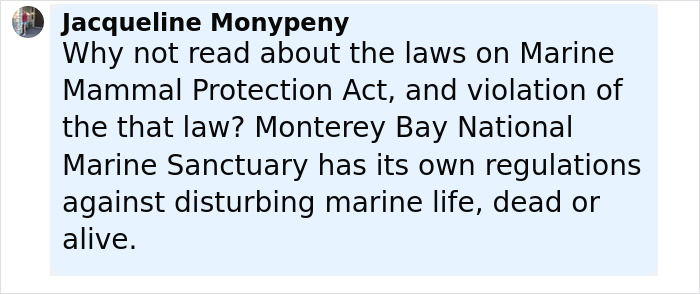 Comment from Jacqueline Monypeny about Marine Mammal Protection Act and Monterey Bay regulations against disturbing marine life.