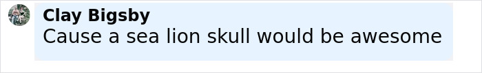 Screenshot of a social media comment by Clay Bigsby mentioning a sea lion skull in a discussion.