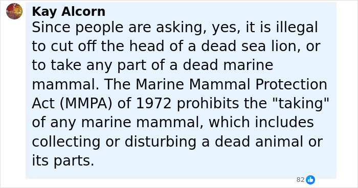 Comment explaining the illegality of harming or disturbing sea lions under the Marine Mammal Protection Act in California.