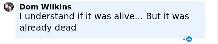 Comment on social media showing user Dom Wilkins disputing the cruelty claim involving a sea lion in California.