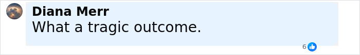 Facebook comment from Diana Merr saying What a tragic outcome with six likes, related to fugitive dad fatally shot in police standoff.