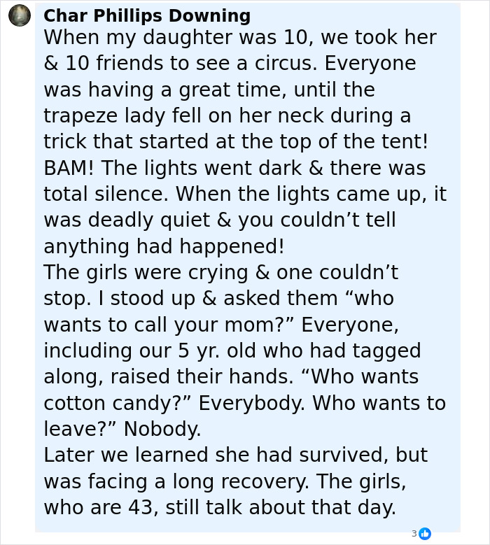 Circus trapeze artist falls during stunt, causing shock and silence among stunned families watching the performance.