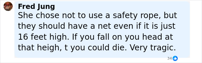 Comment by Fred Jung discussing the trapeze artist's fatal stunt and safety concerns during the circus performance.