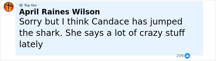 Comment from April Raines Wilson reacting to Candace Owens and Charlie Kirk controversy, expressing skepticism and criticism. Comment from April Raines Wilson reacting to Candace Owens and Charlie Kirk controversy, expressing skepticism and criticism.