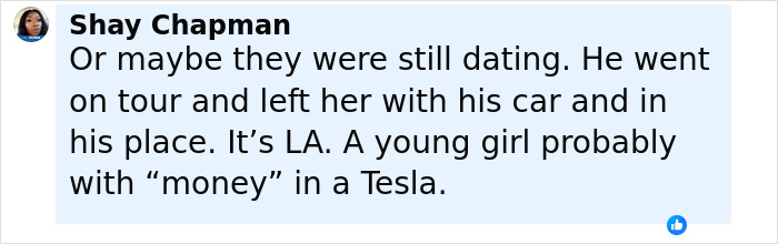 Comment from Shay Chapman discussing a singer, a young girl, and a Tesla in relation to a missing person case.
