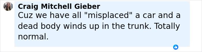 Screenshot of a social media comment about a misplaced car and dead body linked to wild findings connecting singer to missing girl.