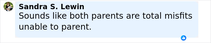Comment by Sandra S. Lewin criticizing parents as misfits unable to parent, displayed on a light blue background.