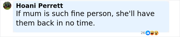 Screenshot of a social media comment discussing the mom of kids who vanished into wilderness as photos of campsite are released