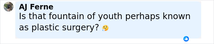 Comment discussing plastic surgery rumors, questioning if youthful appearance is due to plastic surgery or natural youth.