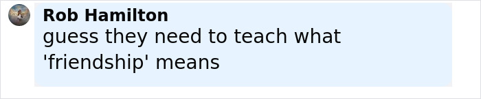 Comment by Rob Hamilton expressing that teaching the meaning of friendship is needed in a social media post.