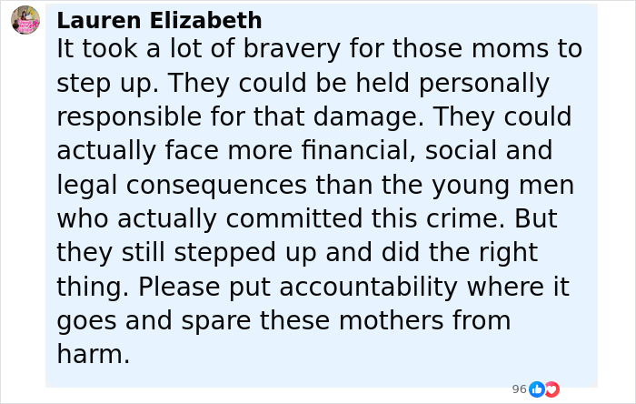 Comment by Lauren Elizabeth praising the bravery of two mothers who turned in their children aged 12 and 13 to police.