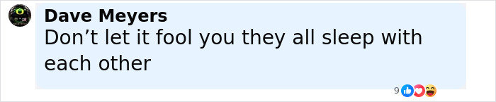 Colin Farrell Confesses Married Margot Robbie Turns Him On