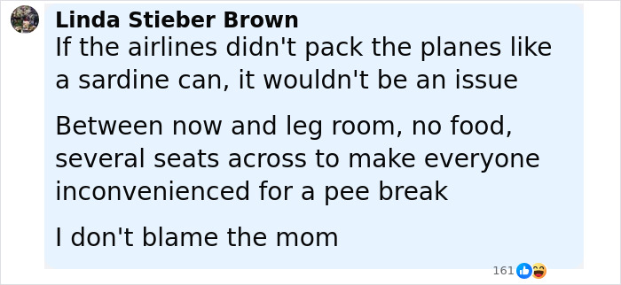 Comment saying airlines pack planes like sardine cans causing issues with reclined plane seats and discomfort for passengers. Comment saying airlines pack planes like sardine cans causing issues with reclined plane seats and discomfort for passengers.