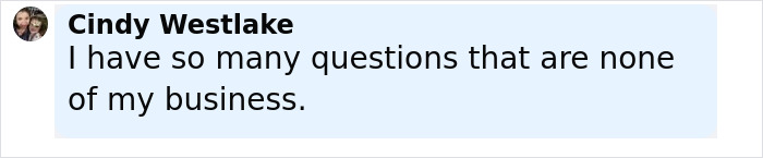 Comment by Cindy Westlake expressing curiosity with the phrase I have so many questions that are none of my business.