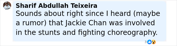 Comment by Sharif Abdullah Teixeira discussing Jackie Chan's involvement in stunts and fighting choreography. Comment by Sharif Abdullah Teixeira discussing Jackie Chan's involvement in stunts and fighting choreography.