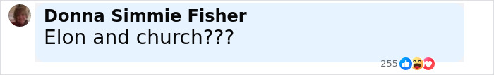 Comment by Donna Simmie Fisher questioning Elon and church, highlighting Elon Musk accused of hypocrisy online.