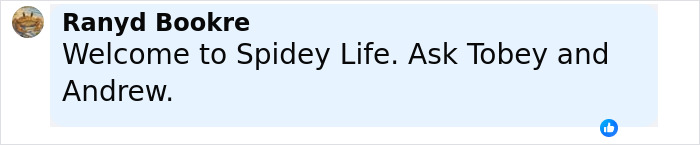 Comment highlighting Spidey Life and mentioning actors Tobey and Andrew related to Spider-Man fans and discussions. Comment highlighting Spidey Life and mentioning actors Tobey and Andrew related to Spider-Man fans and discussions.