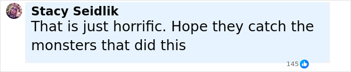 Comment by Stacy Seidlik expressing horror and hope for the capture of perpetrators in Esmeralda Ferrer Garibay case. Comment by Stacy Seidlik expressing horror and hope for the capture of perpetrators in Esmeralda Ferrer Garibay case.