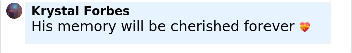 Comment reading His memory will be cherished forever with heart emoji, related to promising teen golfer passing away.
