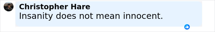 Comment by Christopher Hare stating insanity does not mean innocent, related to unhinged Amish mom's chilling confession viral online.