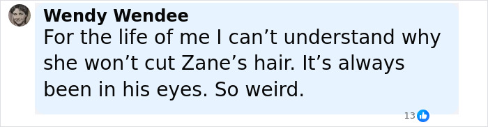 Comment from Wendy Wendee criticizing a parent for not cutting 3-year-old son's hair, relating to Dancing With The Stars pro lash controversy.