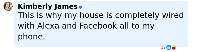 Screenshot of a social media comment discussing a house wired with Alexa and Facebook linked to a phone, related to domestic violence victim safety.