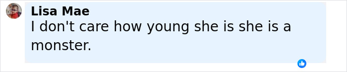 Comment from Lisa Mae saying she doesn't care how young the cheerleader is and calls her a monster related to the arrest.