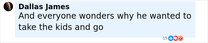 Comment by Dallas James expressing curiosity about why a man wanted to take his kids and go.