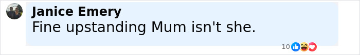 Comment by Janice Emery reading Fine upstanding Mum isn't she, reacting with likes and laughing emojis on a social media post about mom of 3 missing kids and DUI.
