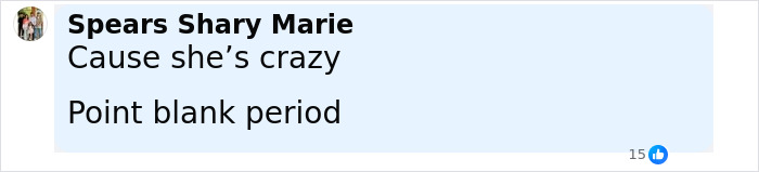 Screenshot of a social media comment with bold user name and text discussing anonymous online bullying revealed by psychological expert. Screenshot of a social media comment with bold user name and text discussing anonymous online bullying revealed by psychological expert.