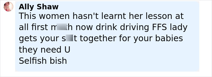 Comment from Ally Shaw criticizing a mom of 3 missing kids over DUI incident and calling her selfish.