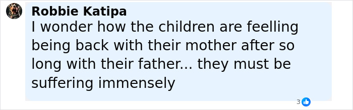 Comment expressing concern about the wellbeing of kids returning to their mother after time with their father.