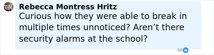 Comment by Rebecca Montress Hritz questioning how two mothers were able to turn in their children to police despite school security alarms.