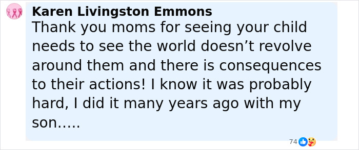 Comment praising two mothers being applauded for turning in their children aged 12 and 13 to the police.