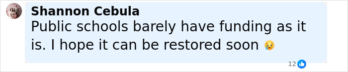 Comment by Shannon Cebula about public schools lacking funding and hoping for restoration soon, featuring an upset emoji.