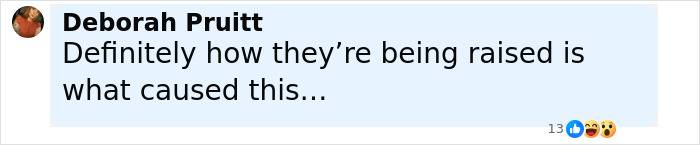 Comment on social media about mothers turning in their own children to the police, discussing parenting concerns.